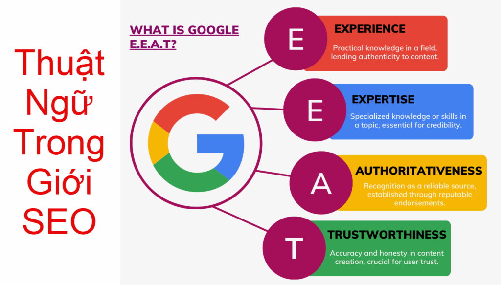 E-E-A-T trong seo là gì ? Thuật ngữ trong giới SEO